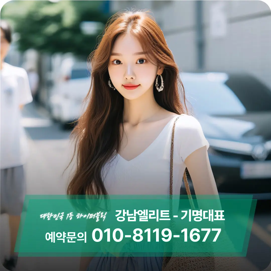 강남엘리트 가격